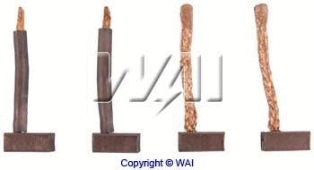 Carbon Brush, starter (JASX80-81)