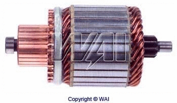 Armature, starter (61-8113)