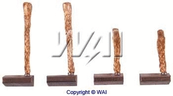 Carbon Brush, starter (PSX169-170)