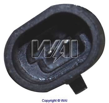 Alternator Regulator