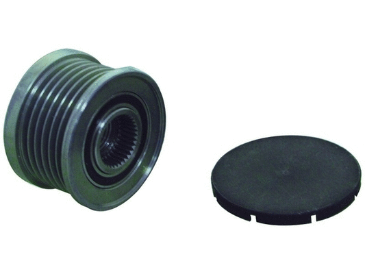 Alternator Freewheel Clutch