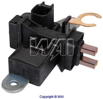 Holder, carbon brushes