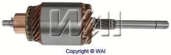 Armature, starter (61-9204)