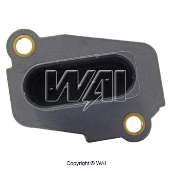 Mass Air Flow Sensor