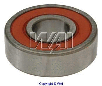Bearing (6-100-4)
