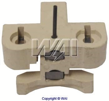 Holder, carbon brushes