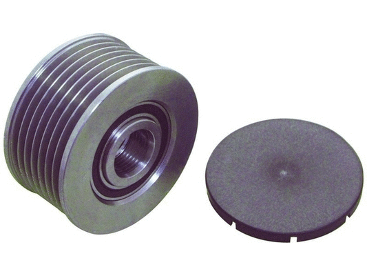 Alternator Freewheel Clutch (24-91319)