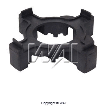 Holder, carbon brushes