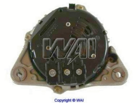 Alternator (21795N)
