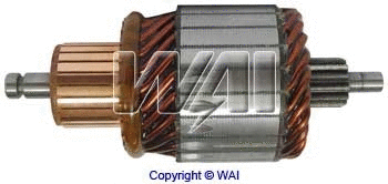Armature, starter (61-8215)