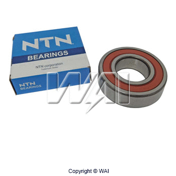 Bearing (6-206-4NB)