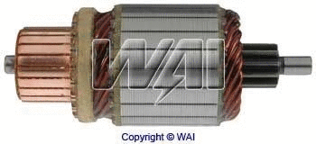 Armature, starter (61-8218)