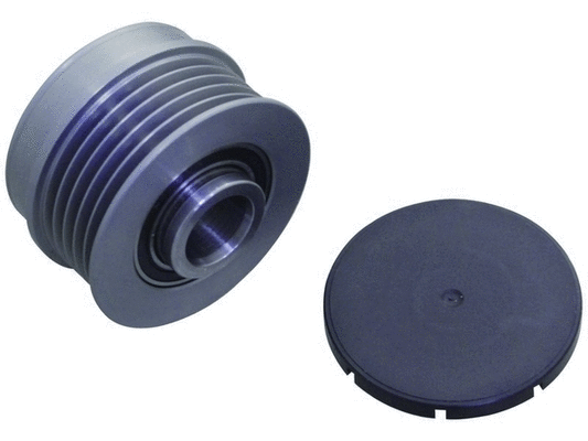 Alternator Freewheel Clutch (24-822100)