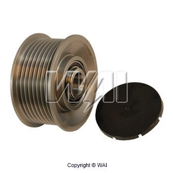 Alternator Freewheel Clutch (24-91287)