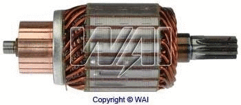 Armature, starter (61-8310)