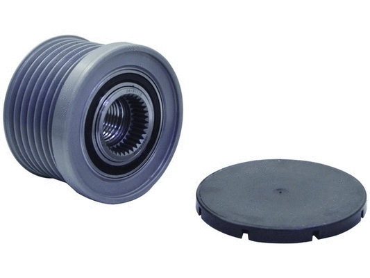 Alternator Freewheel Clutch