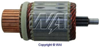 Armature, starter (61-183)