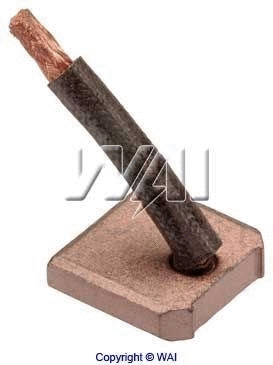 Carbon Brush, starter (68-8314)