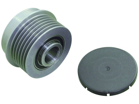 Alternator Freewheel Clutch (24-82317)