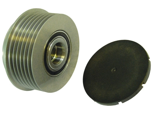 Alternator Freewheel Clutch (24-91119)