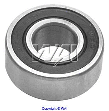 Bearing (10-2021-4W)