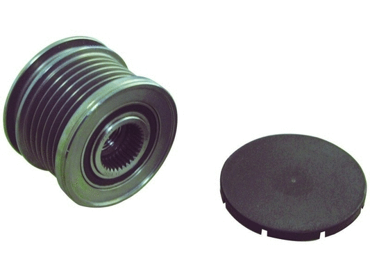 Alternator Freewheel Clutch