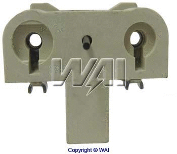 Holder, carbon brushes