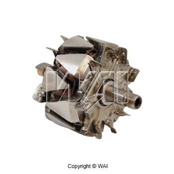 Rotor, alternator