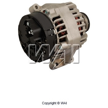 Alternator (24017N)