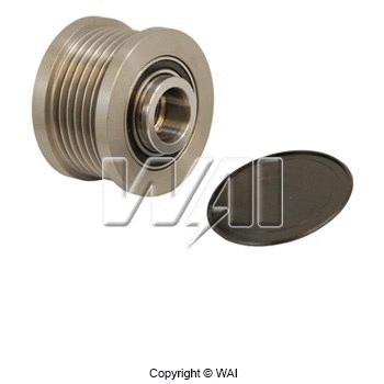 Alternator Freewheel Clutch (24-81111)