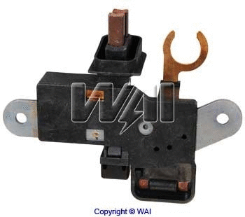 Holder, carbon brushes