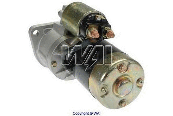 Starter (17110R)