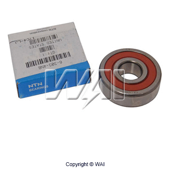 Bearing (6-303-4NB)