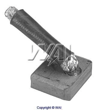 Carbon Brush, starter (68-8303)