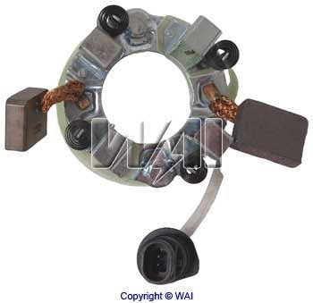 Holder, carbon brushes