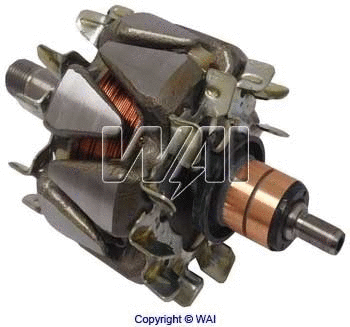 Rotor, alternator (28-8307)