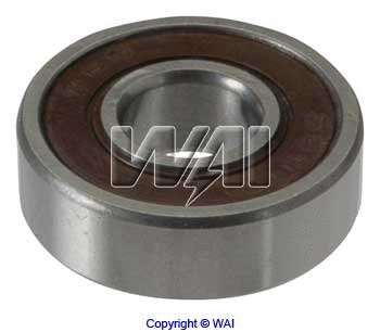 Bearing (6-100-4W)