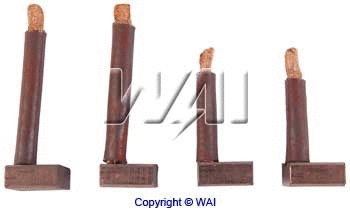 Carbon Brush, starter (JASX74-75)