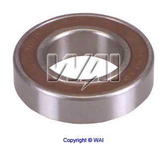 Bearing (6-904-4W)
