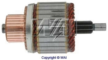 Armature, starter (61-8317)