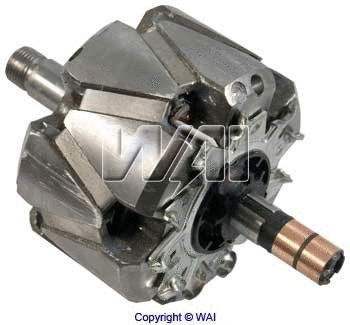 Rotor, alternator (28-9419)