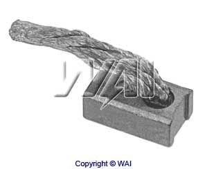 Carbon Brush, starter (68-8209)
