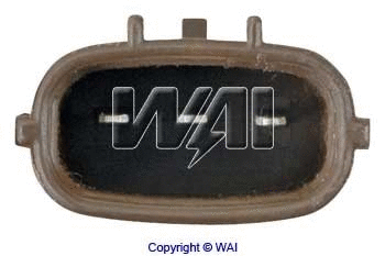 Alternator Regulator