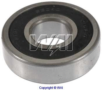 Bearing (6-304-4)