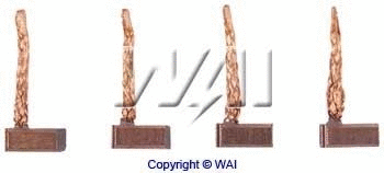 Carbon Brush, starter (BSX196)