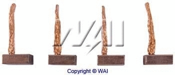 Carbon Brush, starter (BSX210-211)