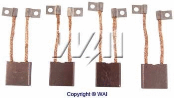 Carbon Brush, alternator (PLSX4)