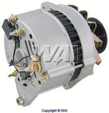 Alternator (12428N)