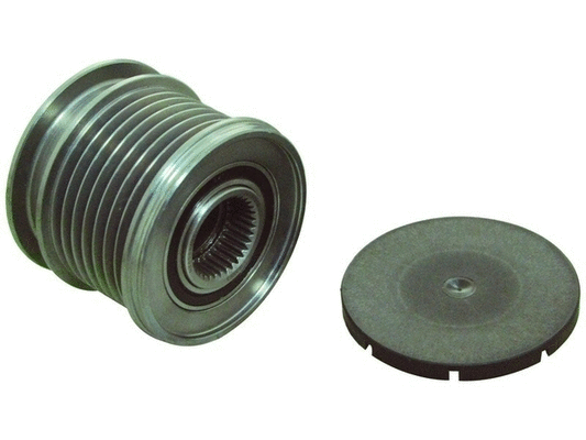 Alternator Freewheel Clutch (24-91318)