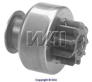 Freewheel Gear, starter